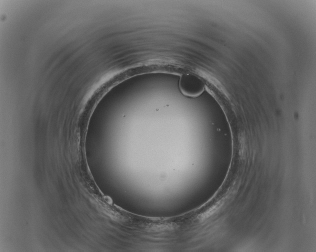 X0000062671021200512230941