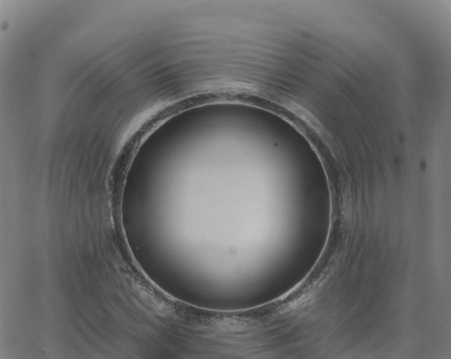 X0000062671022200512230941