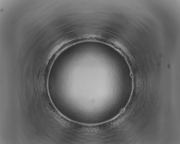 X0000062671023200512230941