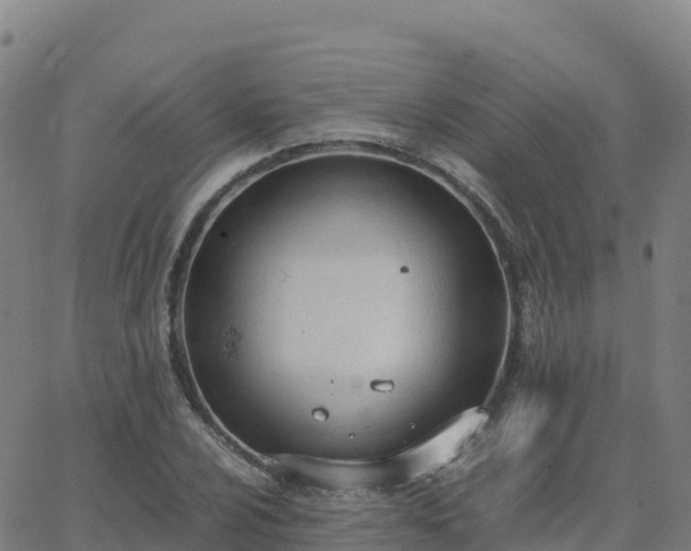 X0000062671024200512230941