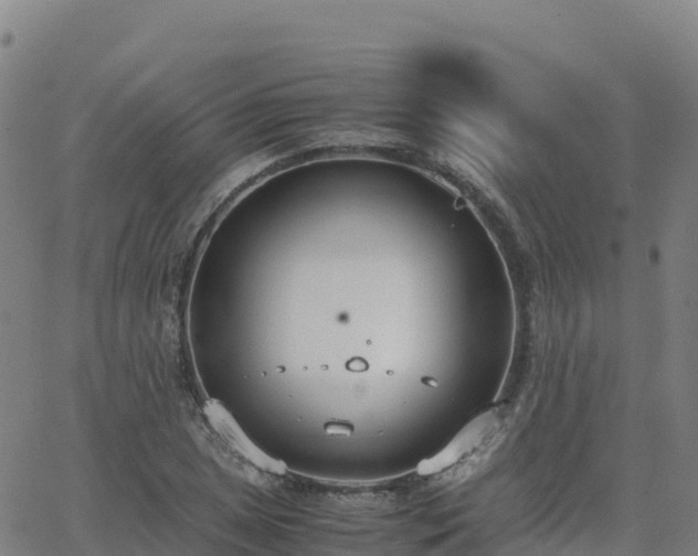 X0000062671025200512230941