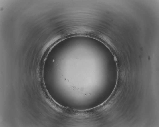 X0000062671026200512230941