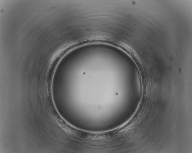 X0000062671027200512230941