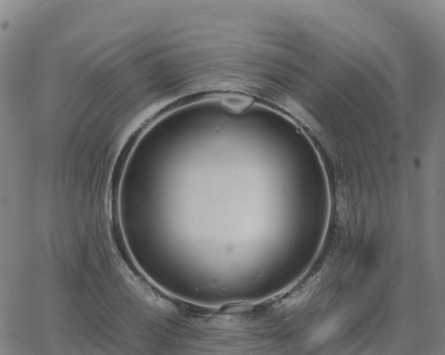 X0000062671028200512230941