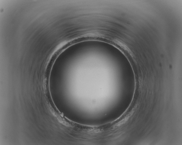 X0000062671029200512230941