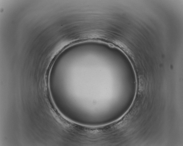 X0000062671031200512230941