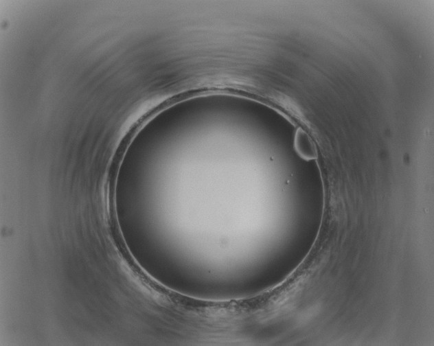 X0000062671032200512230941