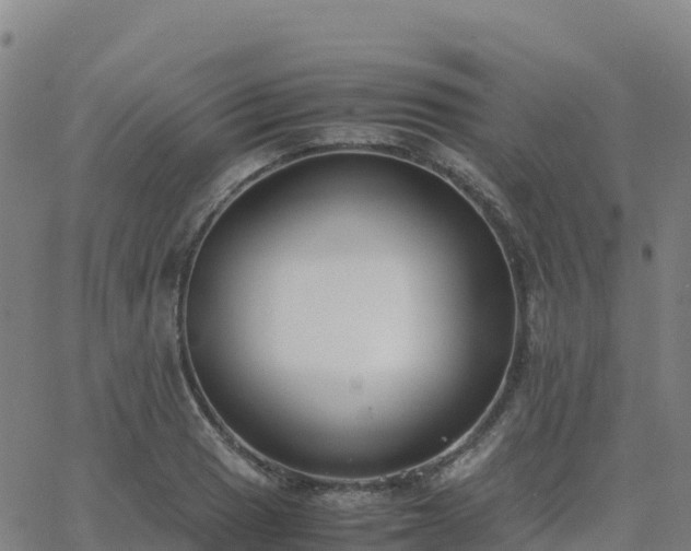 X0000062671033200512230941