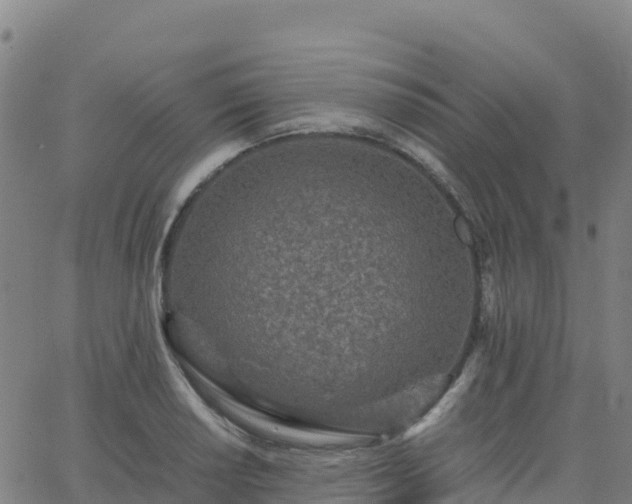 X0000062671034200512230941