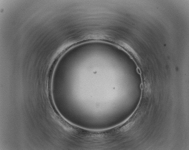 X0000062671035200512230941