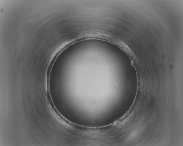 X0000062671036200512230941