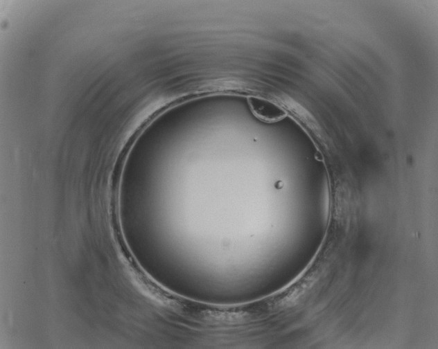 X0000062671039200512230941