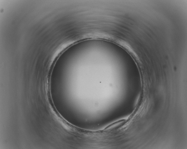 X0000062671040200512230941