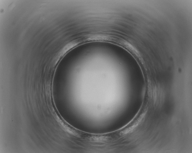 X0000062671041200512230941