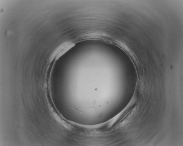 X0000062671042200512230941