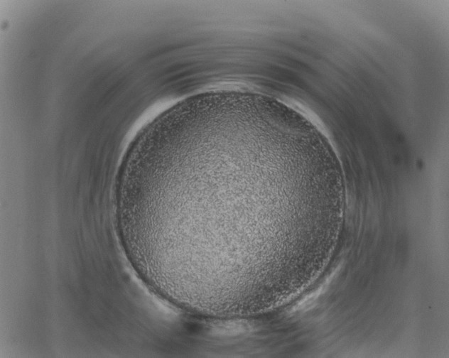 X0000062671045200512230942