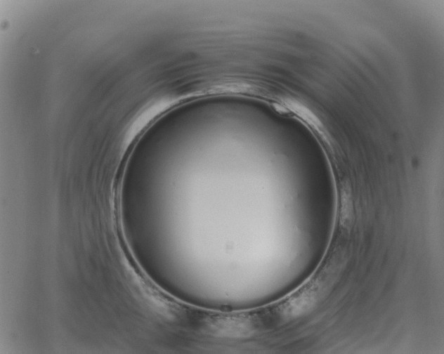 X0000062671047200512230942