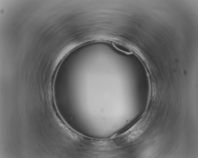 X0000062671048200512230942