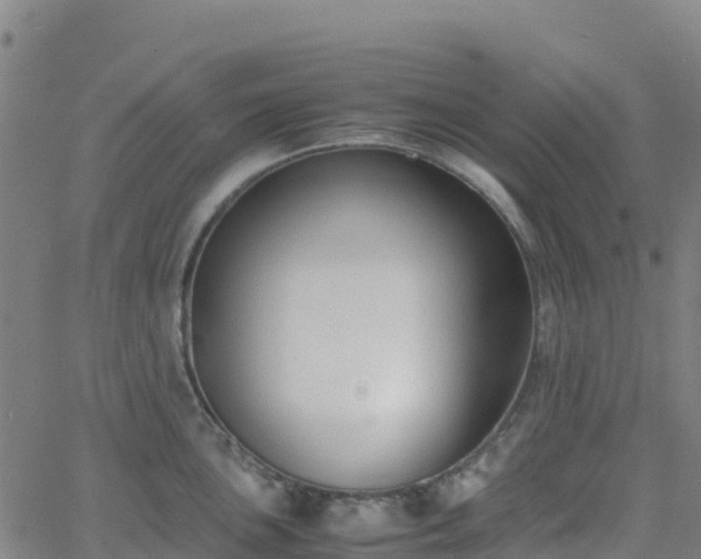 X0000062671051200512230942