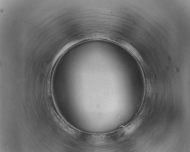 X0000062671052200512230942