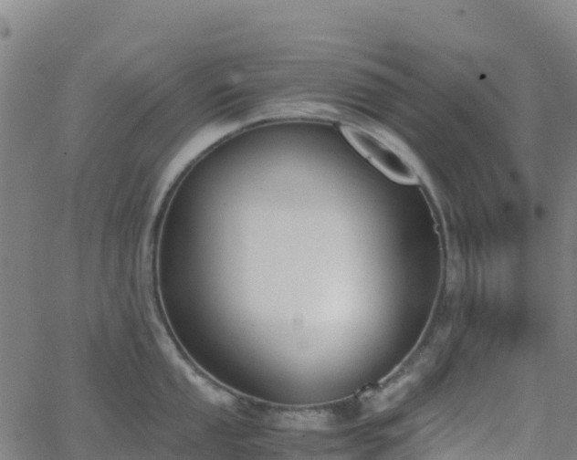 X0000062671053200512230942