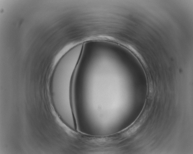 X0000062671054200512230942