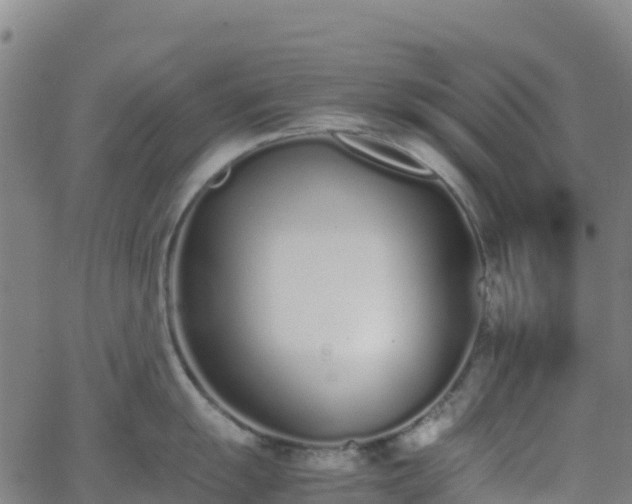 X0000062671055200512230942