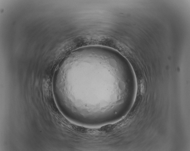 X0000062671059200512230941