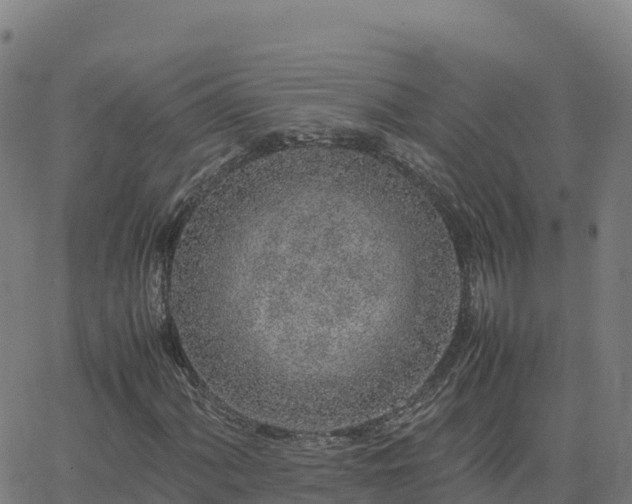 X0000062671060200512230941