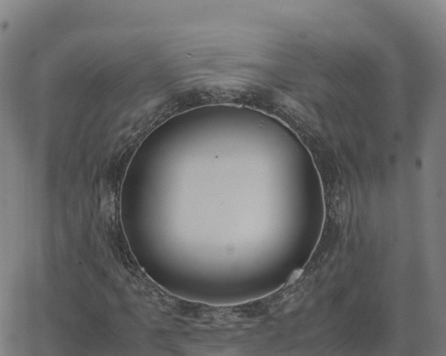 X0000062671061200512230941