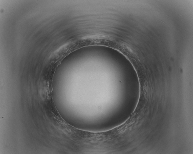 X0000062671062200512230941