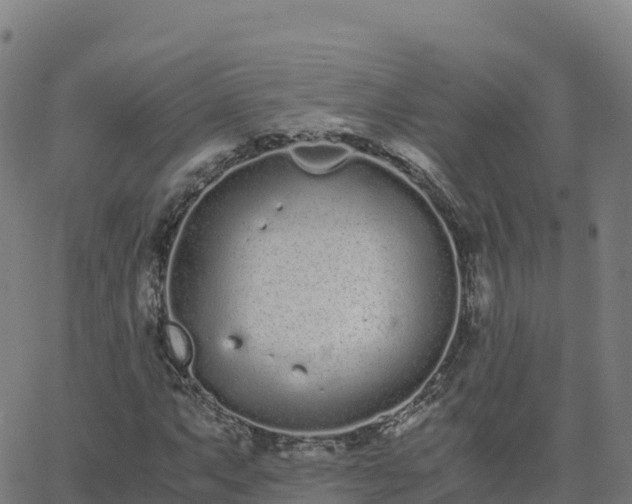 X0000062671063200512230941