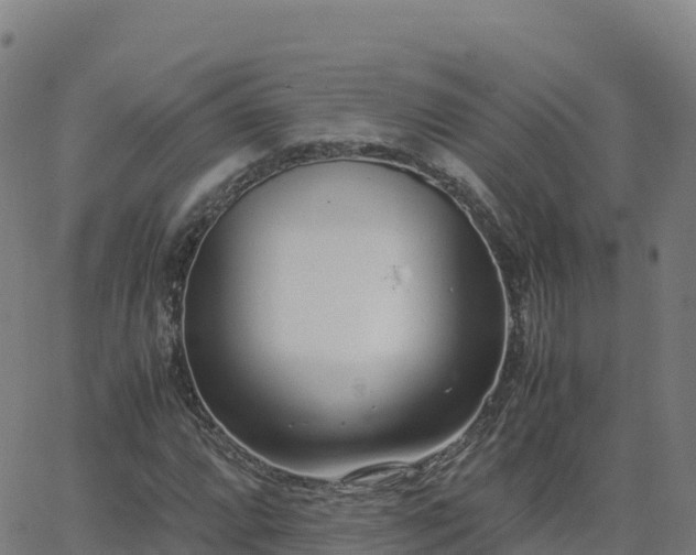 X0000062671064200512230941