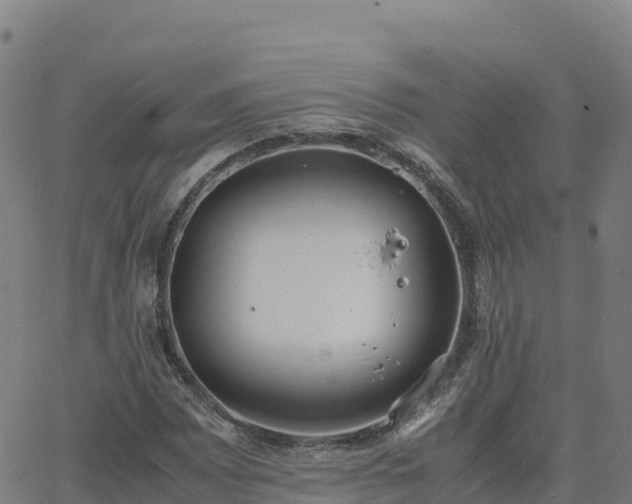 X0000062671065200512230941