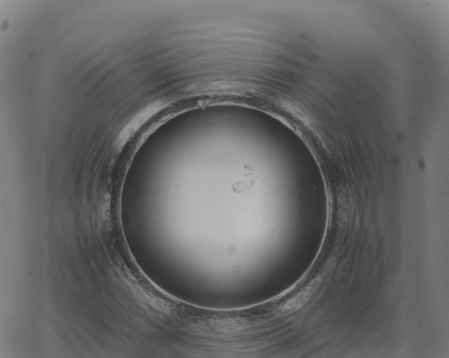 X0000062671066200512230941