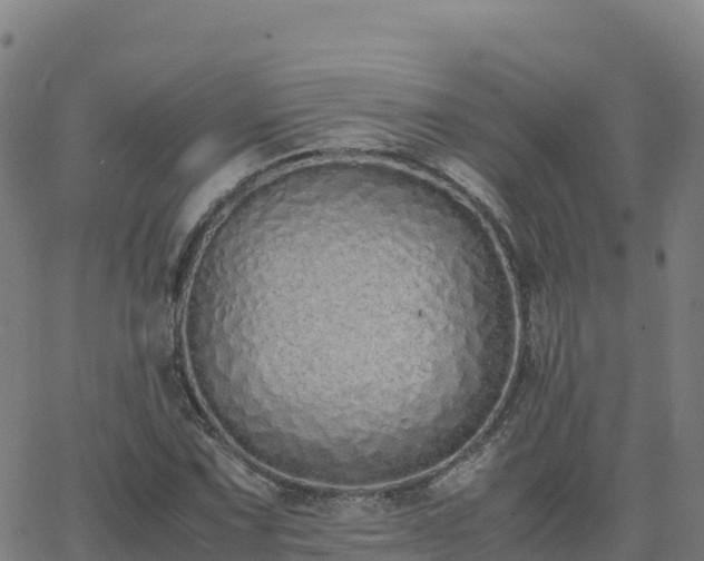 X0000062671067200512230941