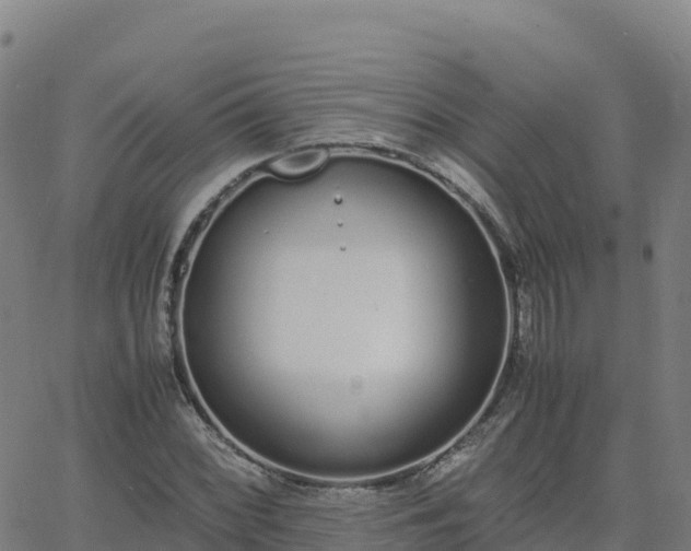 X0000062671068200512230941