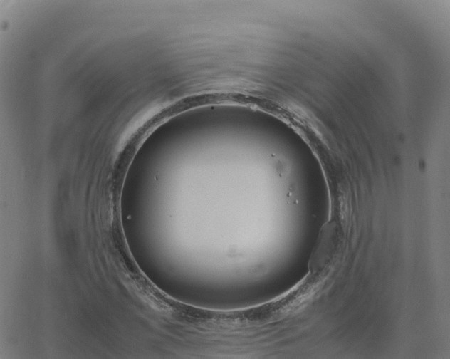 X0000062671069200512230941