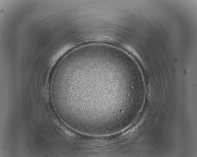 X0000062671071200512230941