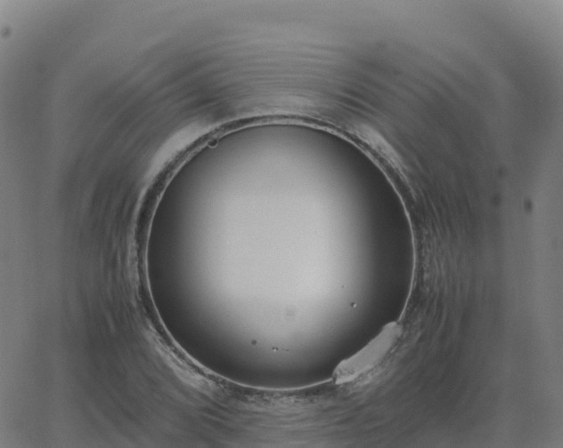 X0000062671072200512230941