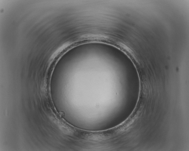 X0000062671074200512230941