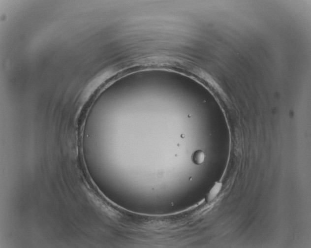 X0000062671075200512230941