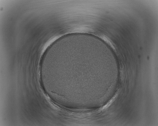 X0000062671077200512230941