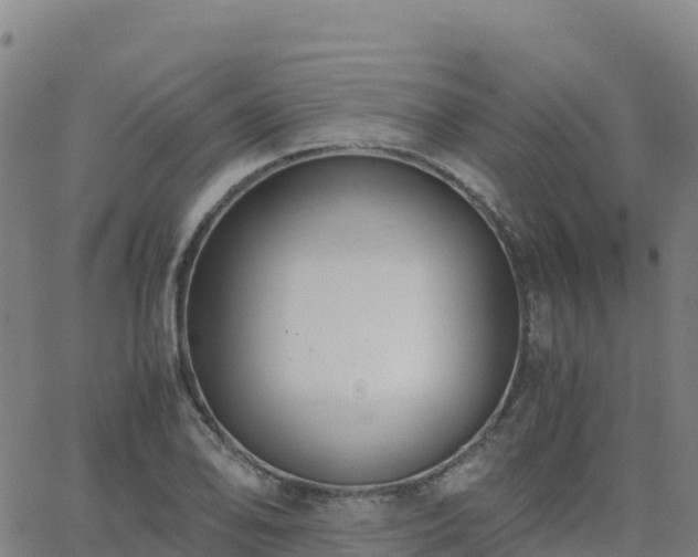 X0000062671078200512230941