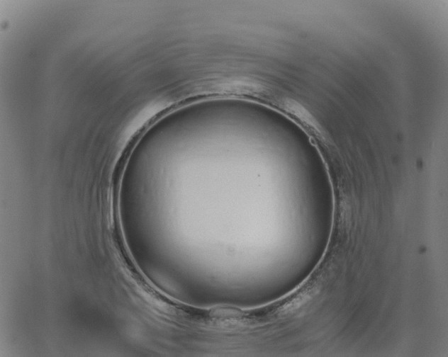 X0000062671079200512230941