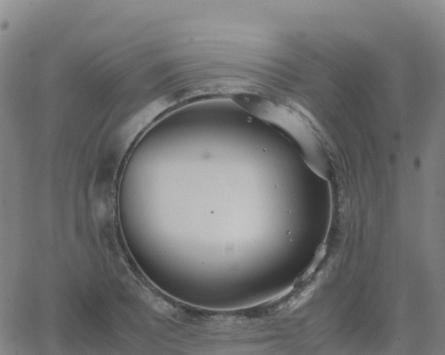 X0000062671081200512230940