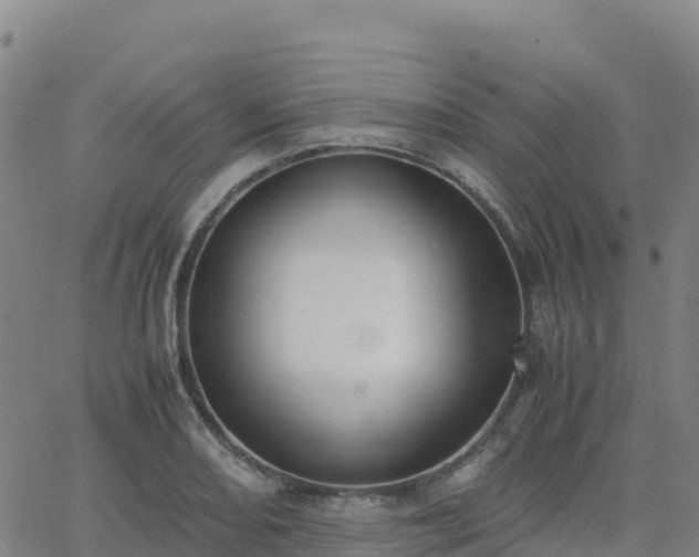 X0000062671082200512230940