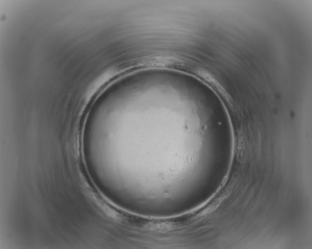 X0000062671083200512230940