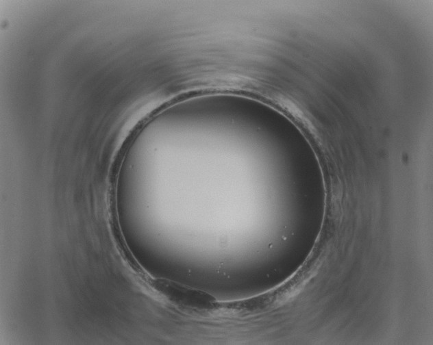 X0000062671085200512230940