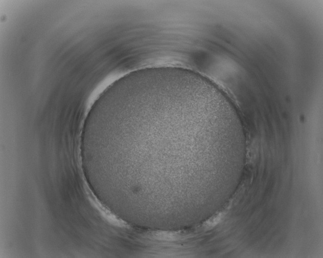 X0000062671086200512230940